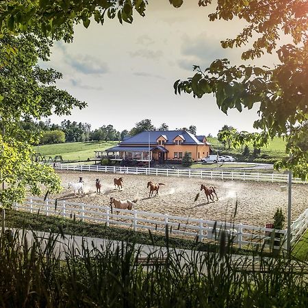 Hotel Horse Riding - Jezdecký Areál Tršice Exterior foto