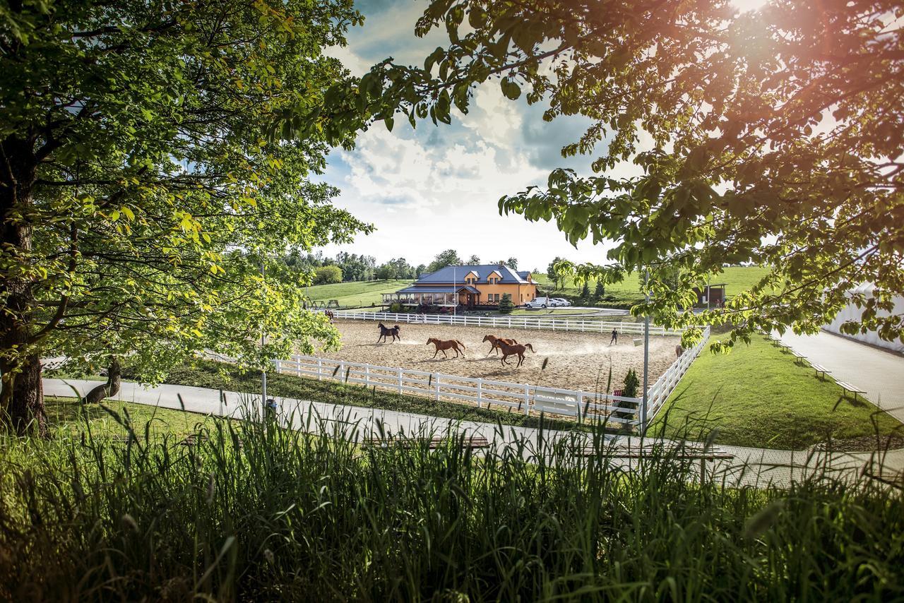 Hotel Horse Riding - Jezdecký Areál Tršice Exterior foto