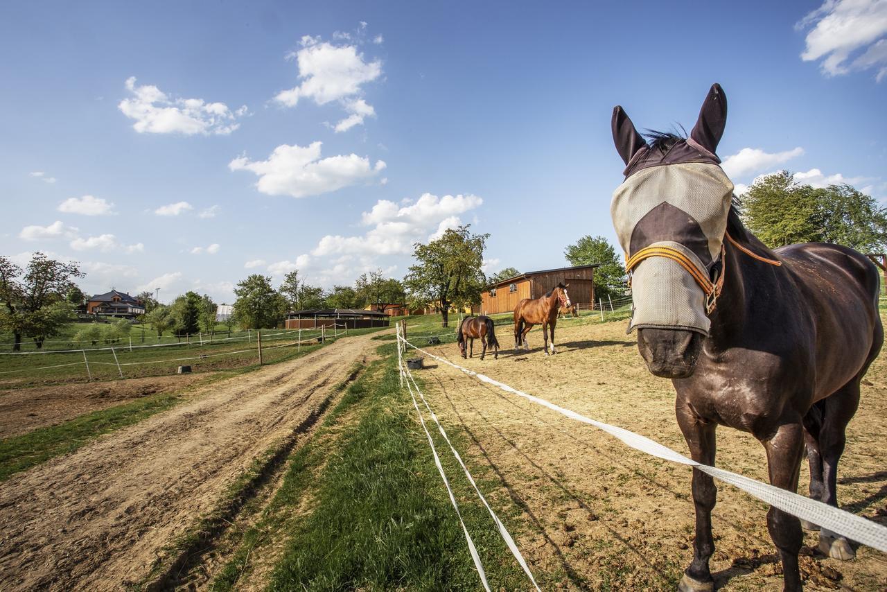 Hotel Horse Riding - Jezdecký Areál Tršice Exterior foto