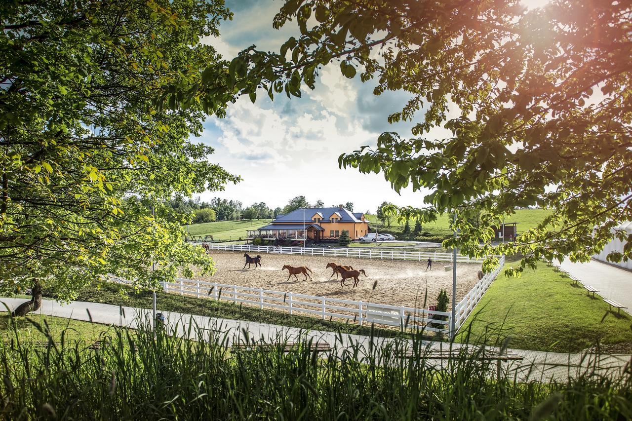 Hotel Horse Riding - Jezdecký Areál Tršice Exterior foto